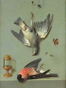 Stilleben med fugle og insekter, 1713